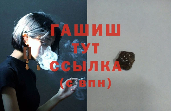 mdpv Богородицк