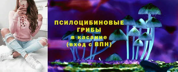 бошки Балахна