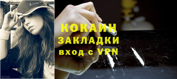 mdpv Богородицк